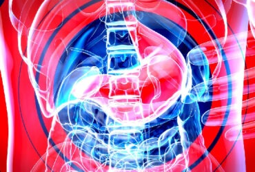 alergiile alimentare si sistemul imunitar intestinal