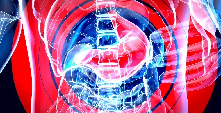 alergiile alimentare si sistemul imunitar intestinal